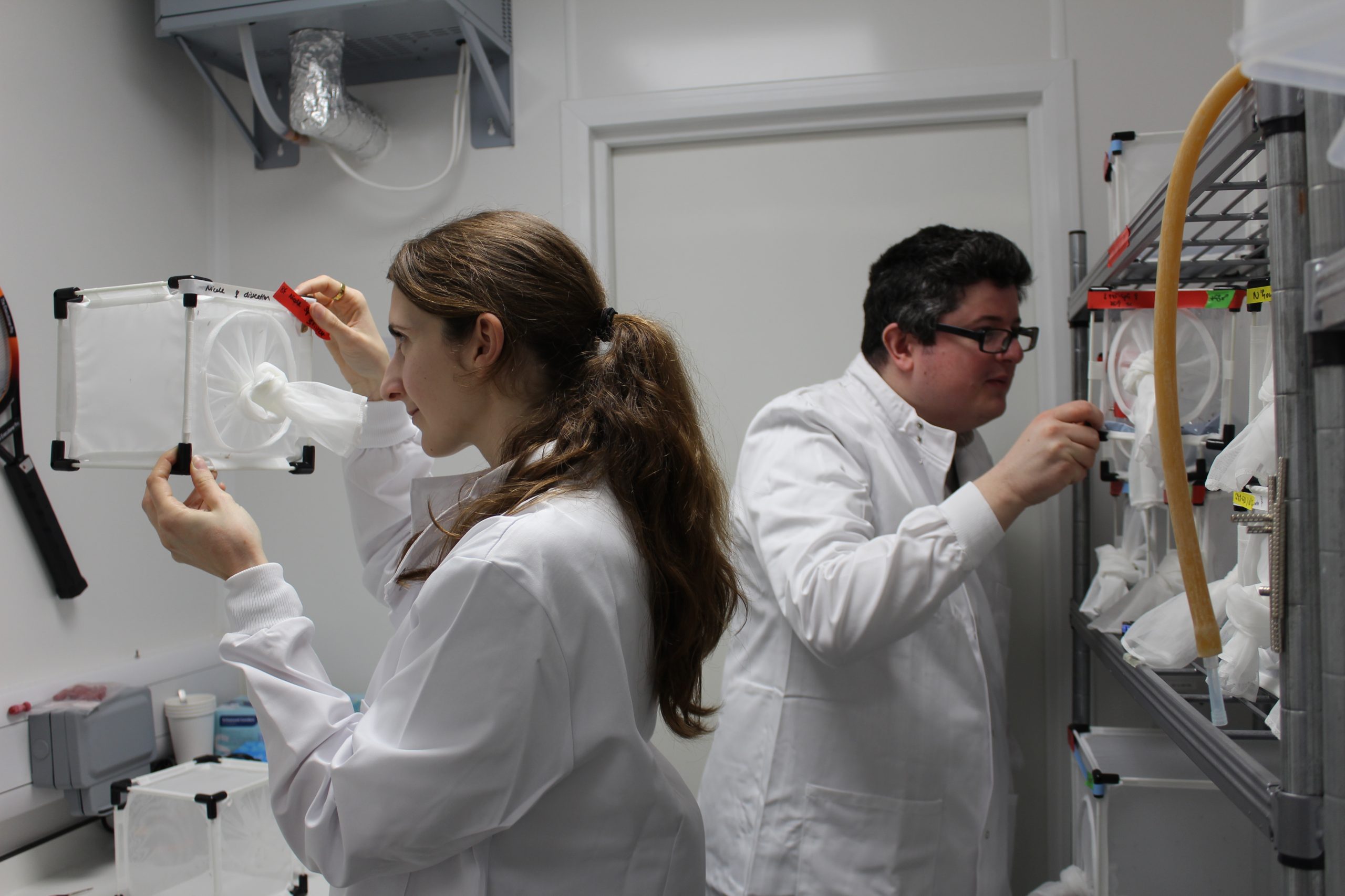 Dr. Nicole Page with her colleague Zachary Stavrou – Dowd at the Liverpool School of Tropical Medicine (LSTM). Photograph: LSTM